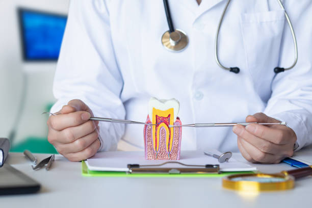 Best Urgent Dental Care in Bayshore, NC